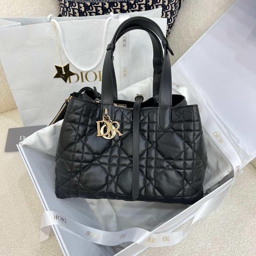 디올 미디엄 뚜주흐 토트백